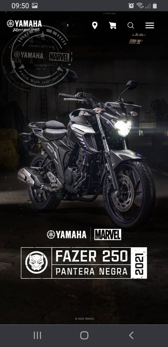 Moda Fazer 250 Pantera 