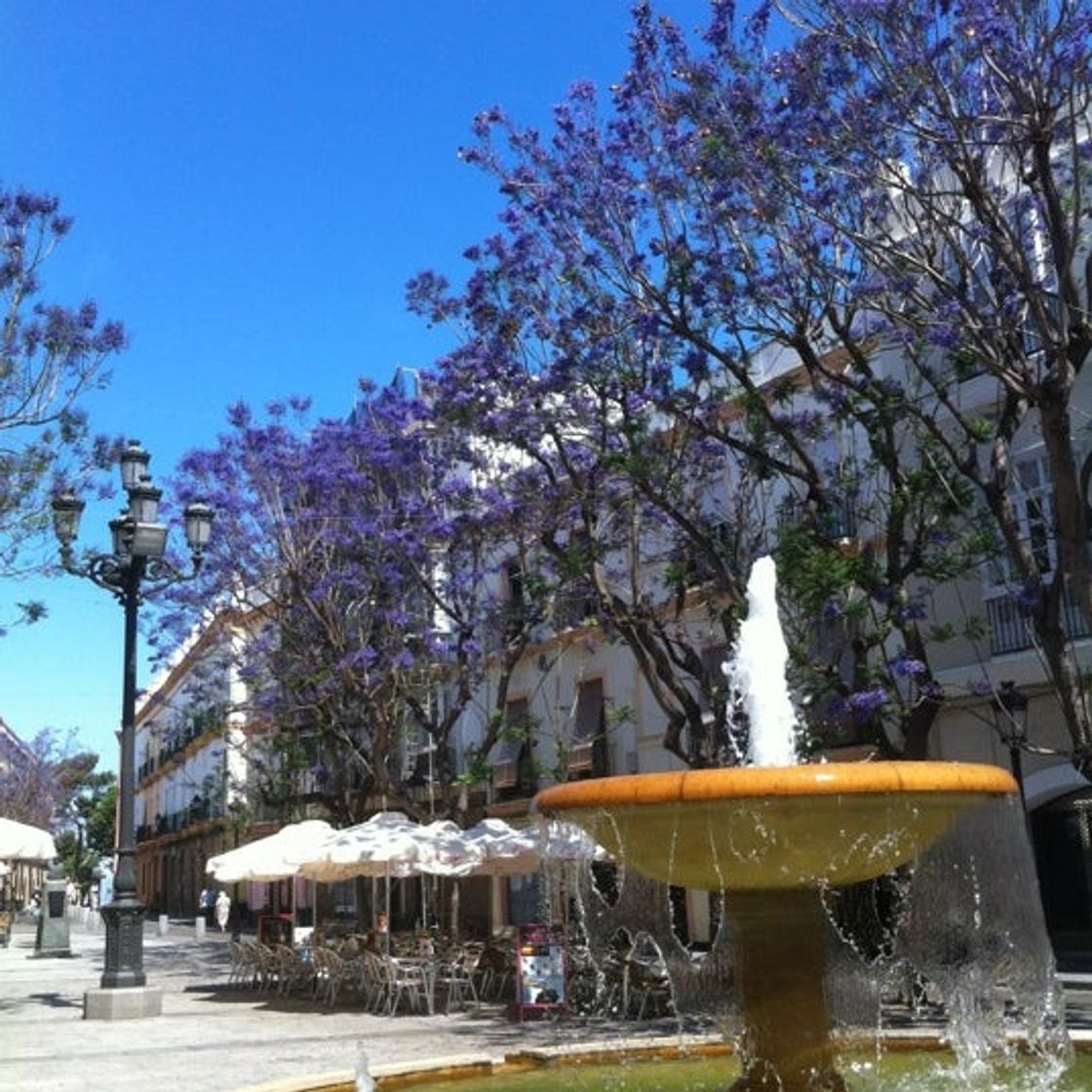 Plaza Del Mentidero
