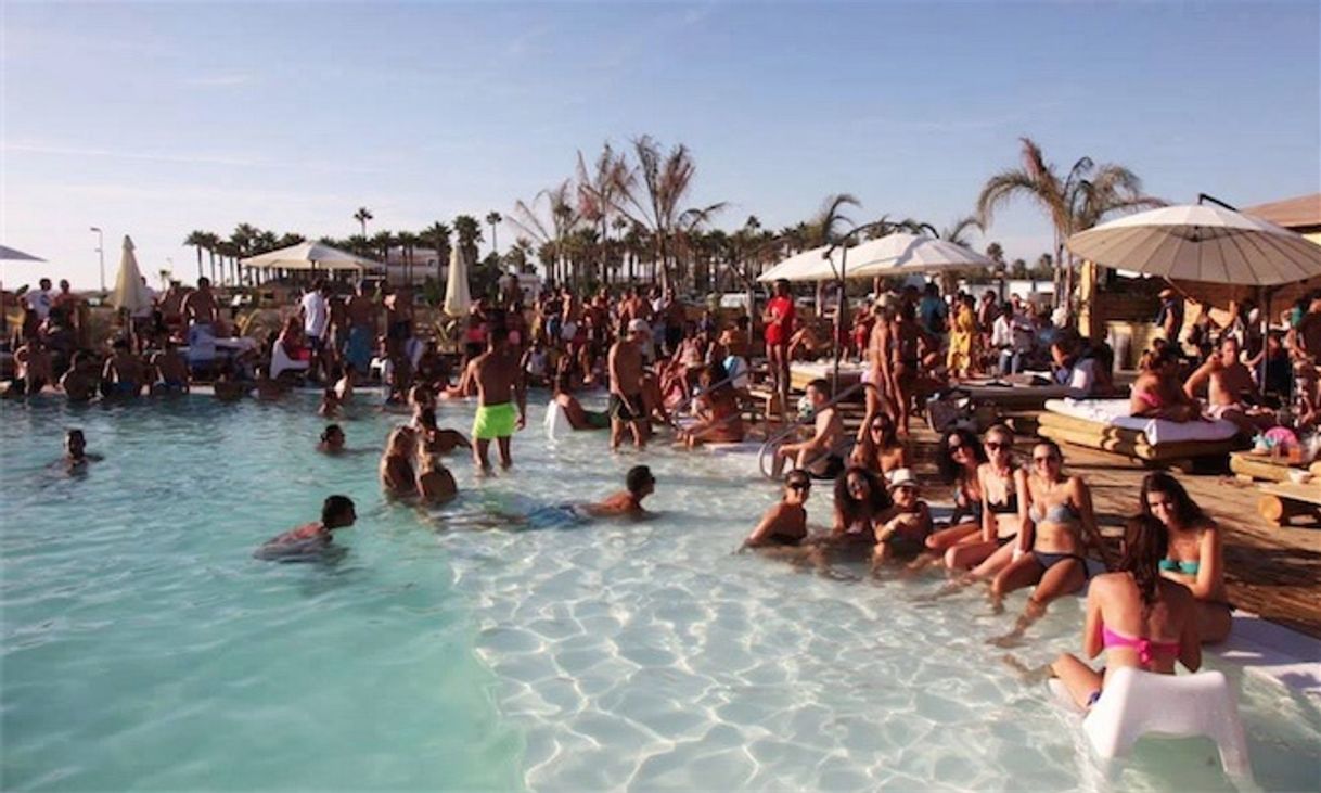 La Isla del Palmar