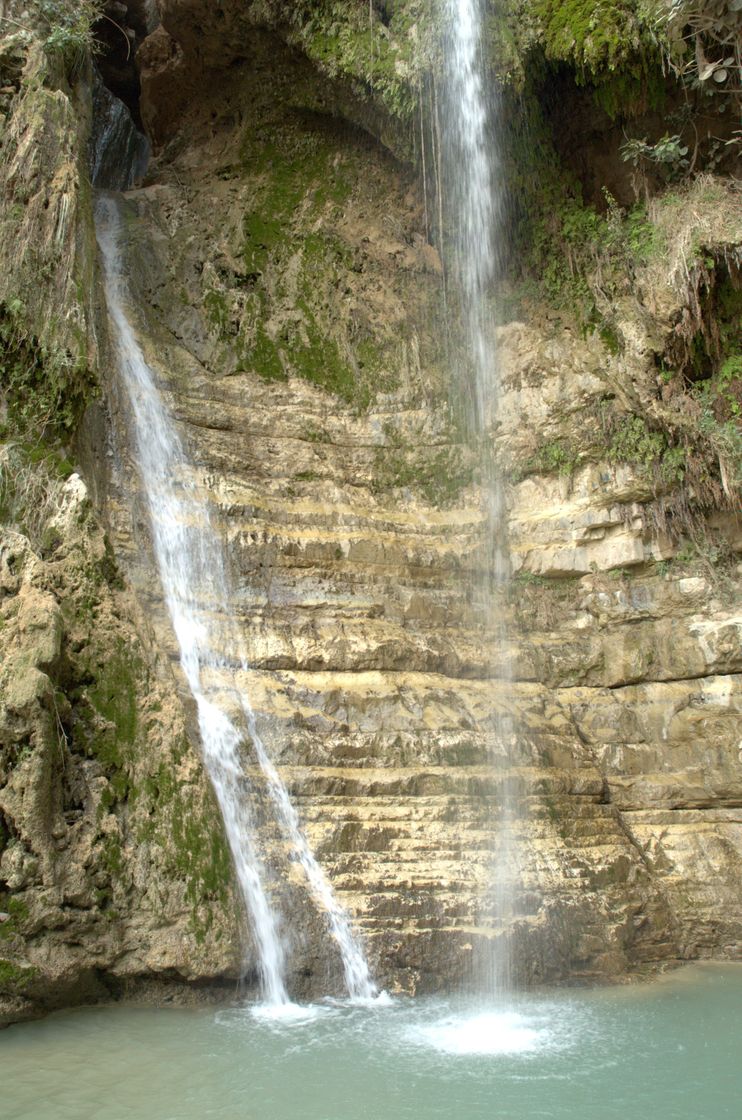 Place Ein Gedi