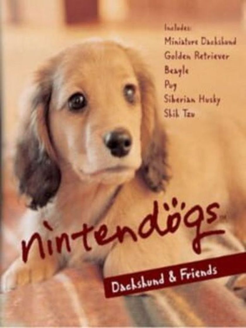 Videogames Nintendogs Dachshund & Friends