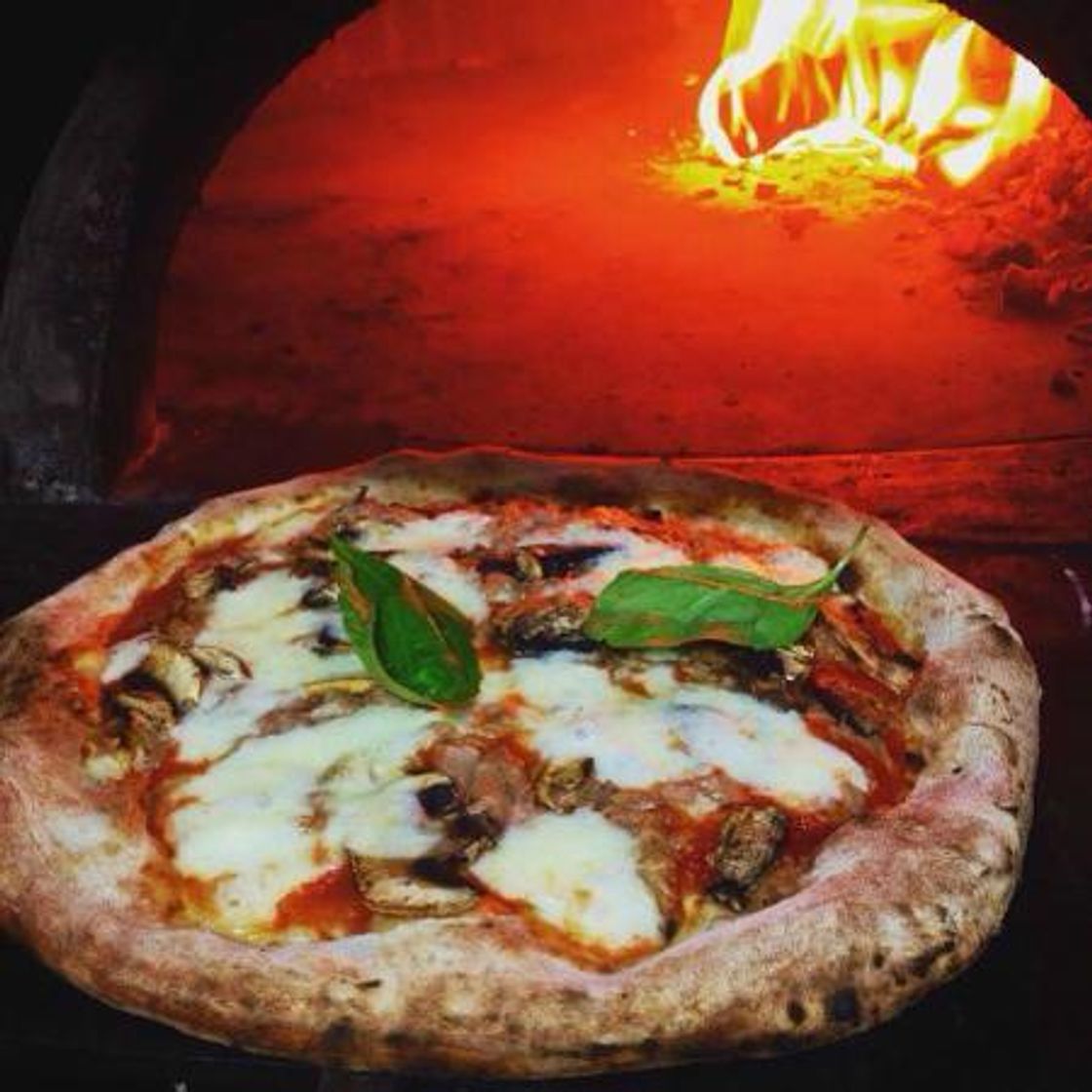 Restaurantes .IT Italian Tradition