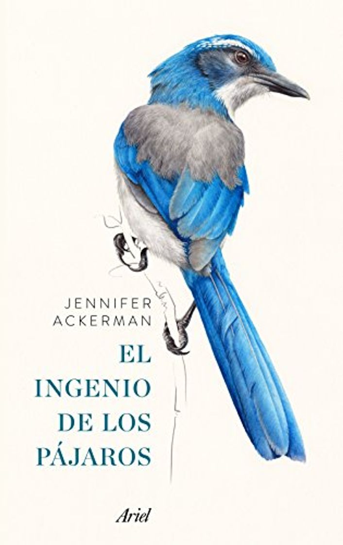 Libro El ingenio de los pájaros