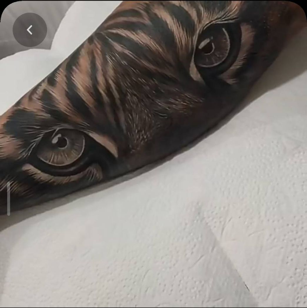 Fashion Tattoo de tigre em preto e cinza