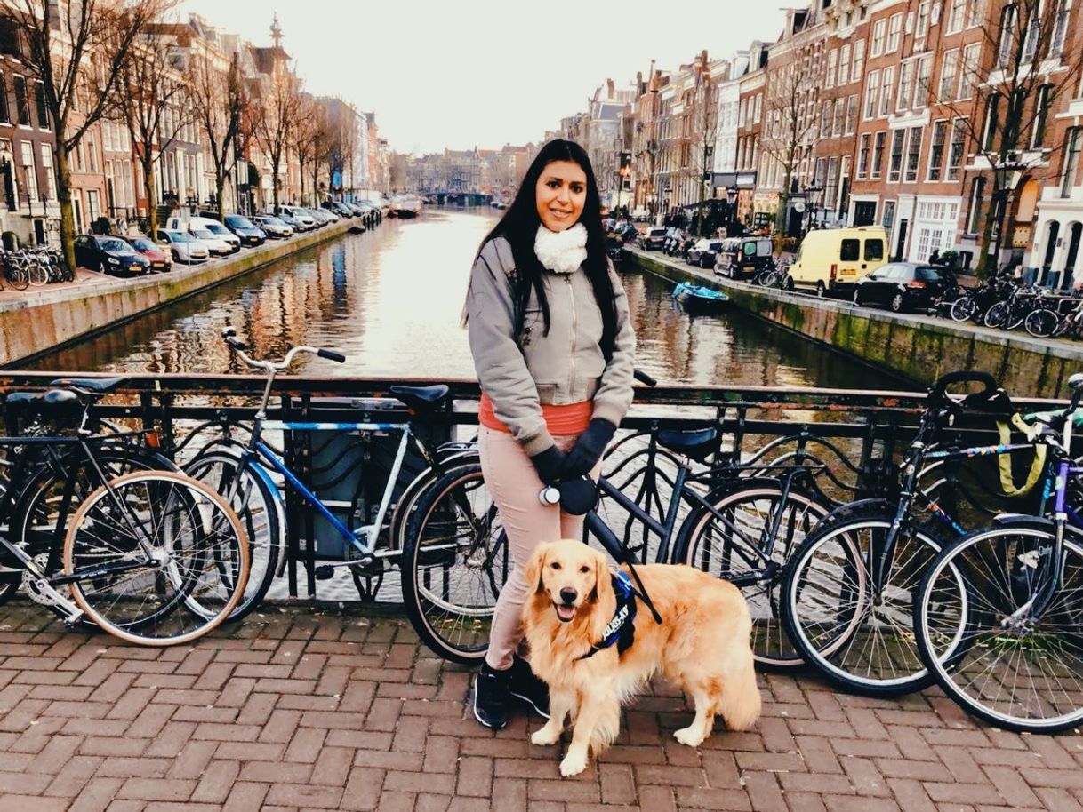 Place Canales de Ámsterdam