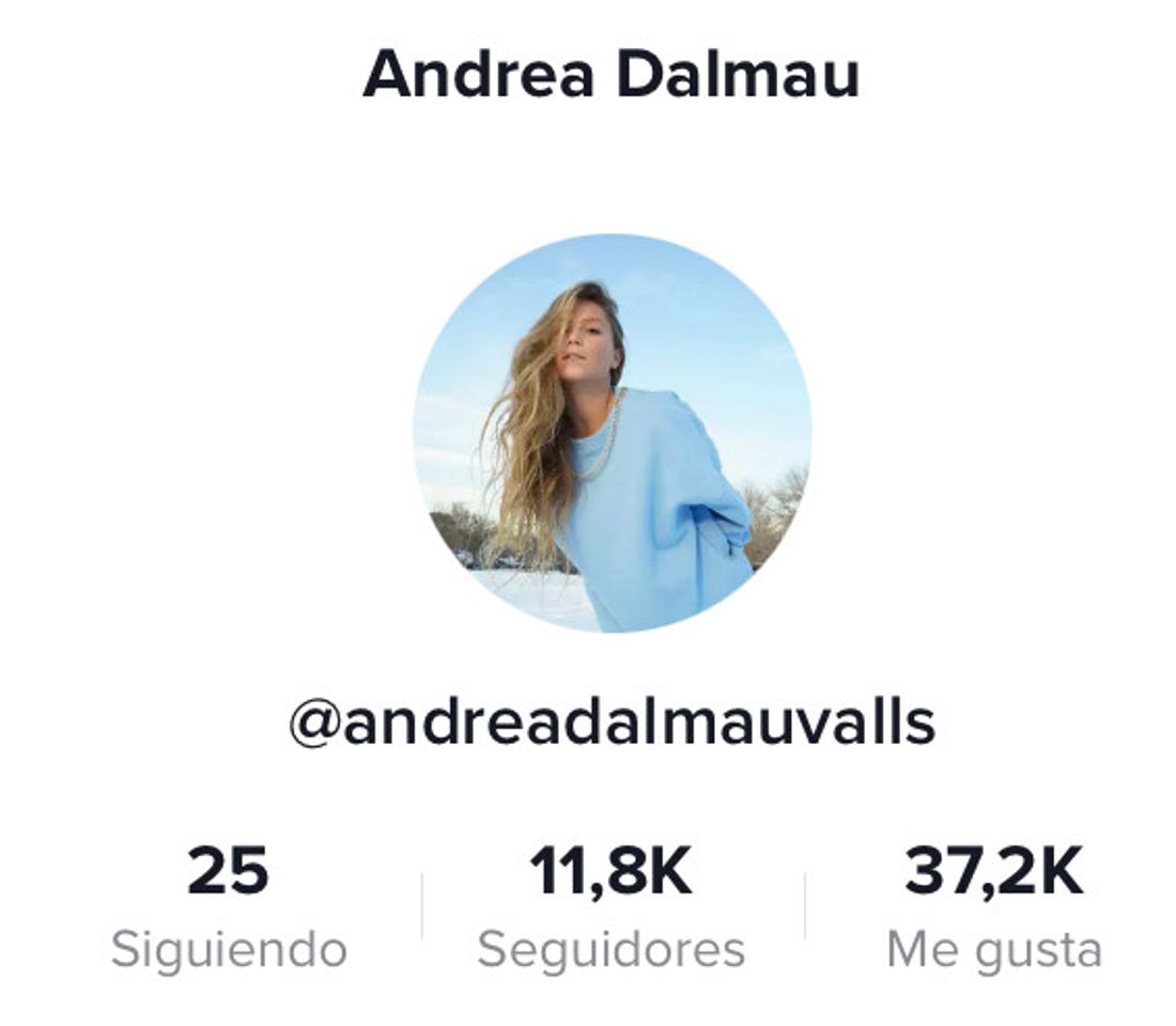 Social Perfil de TikTok 