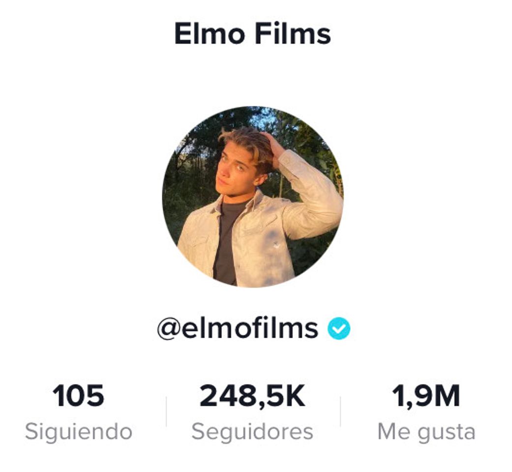 Social Perfil de TikTok 