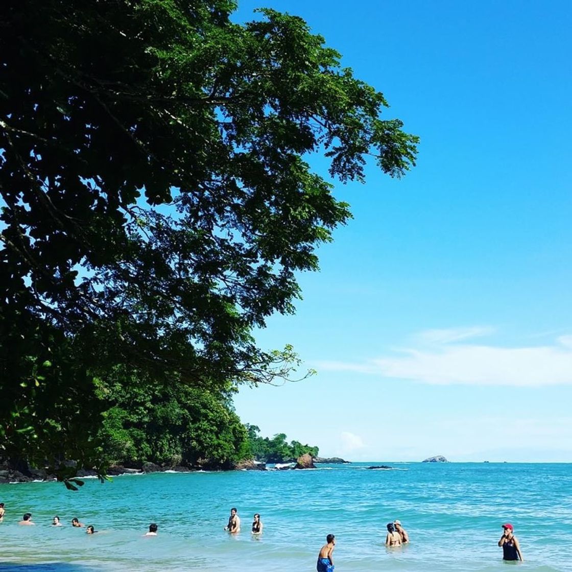 Place Manuel Antonio National Park