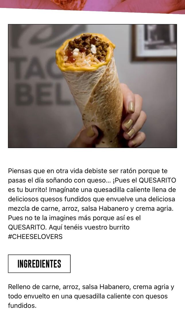 Moda Quesarito