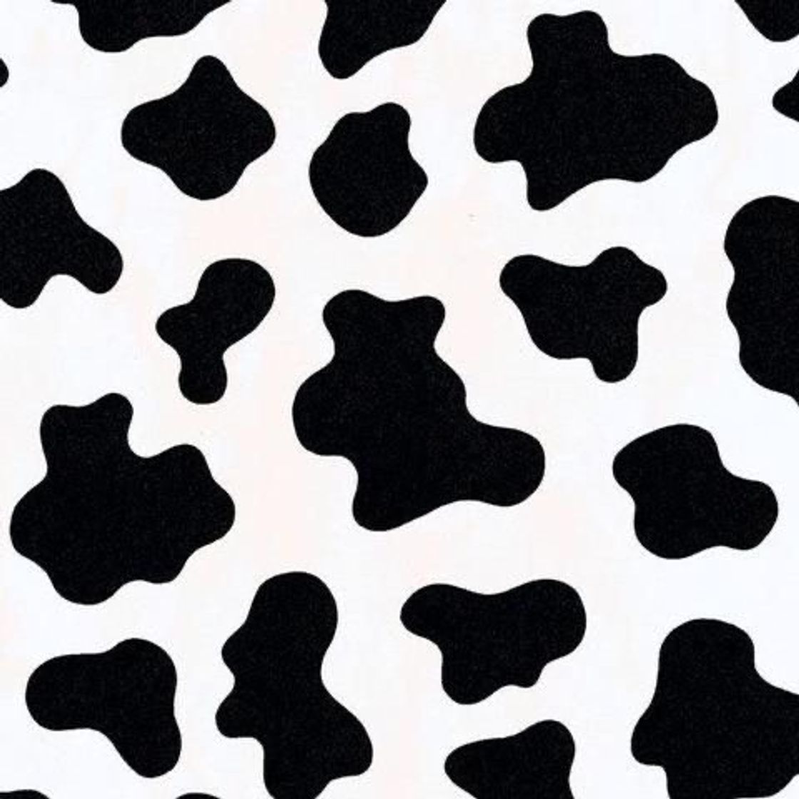 Fashion cow