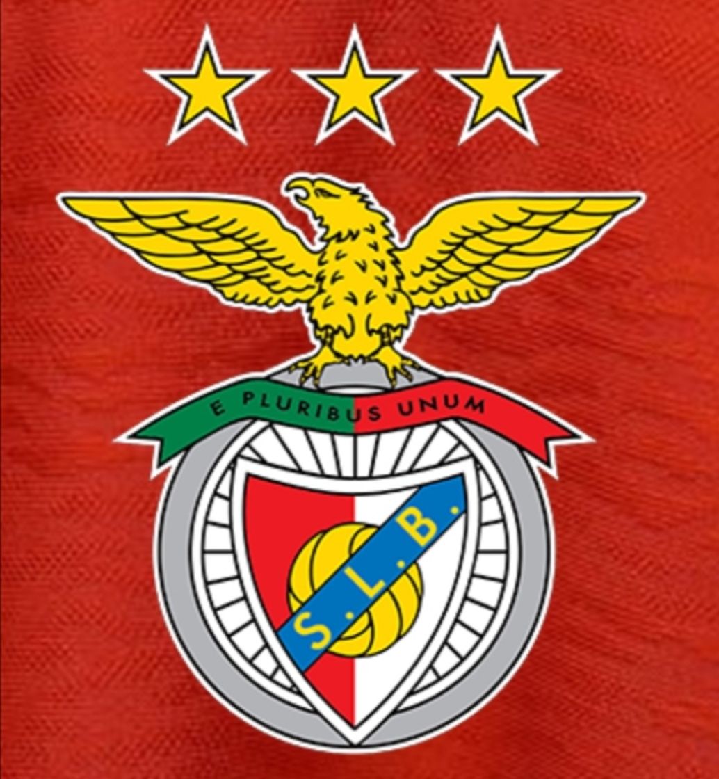 Fashion Benfica 