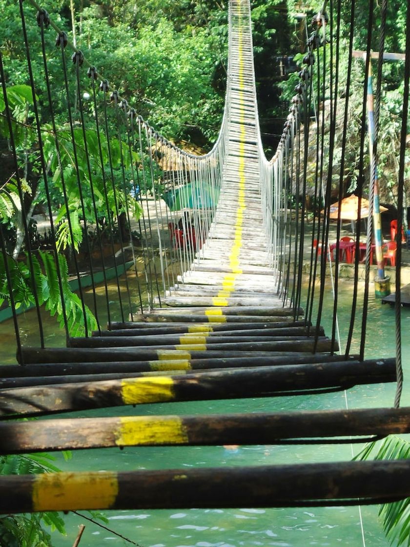 Lugar Parque dos Igarapés