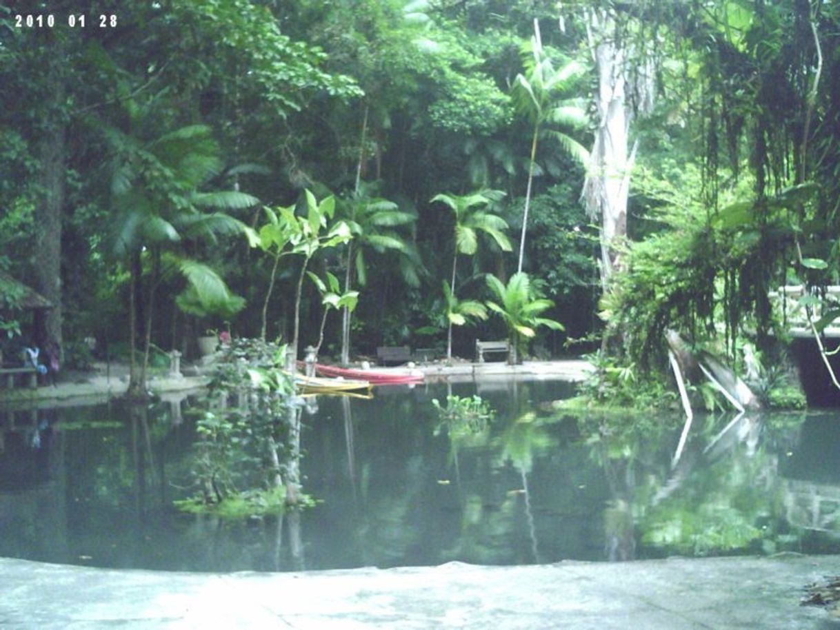 Lugar Bosque Rodrigues Alves Jardim Zoobotânico da Amazônia