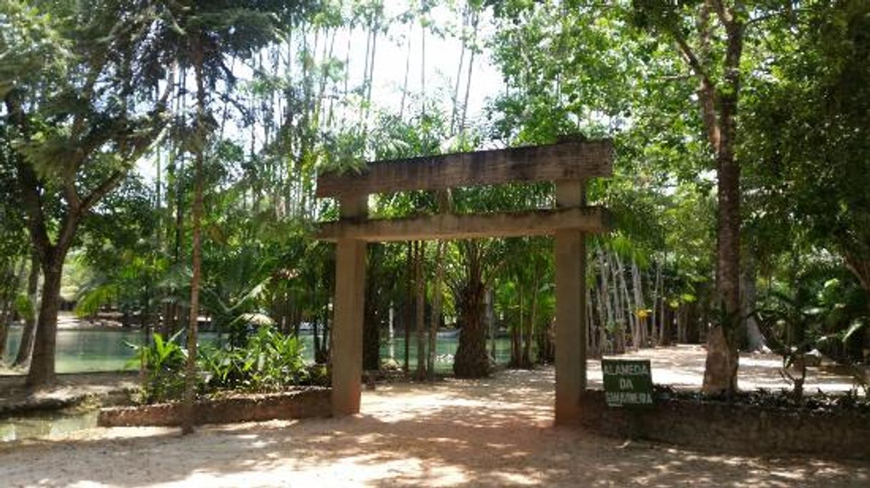 Place Parque Ambiental Adhemar Monteiro