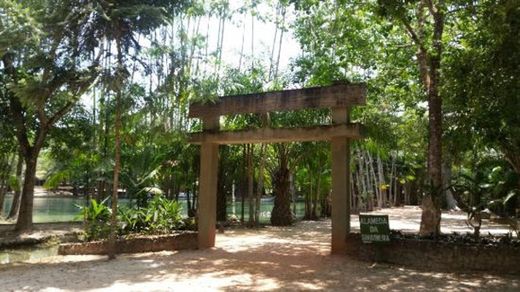 Parque Ambiental Adhemar Monteiro