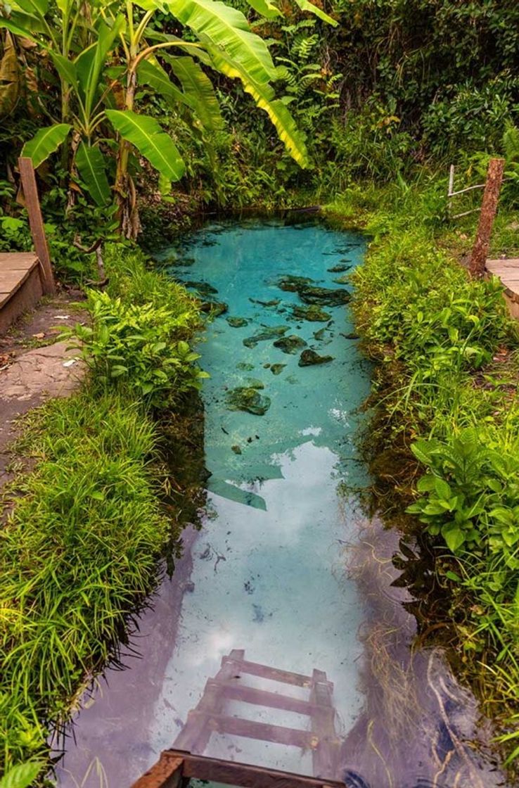 Lugar Jalapão, Tocantins 