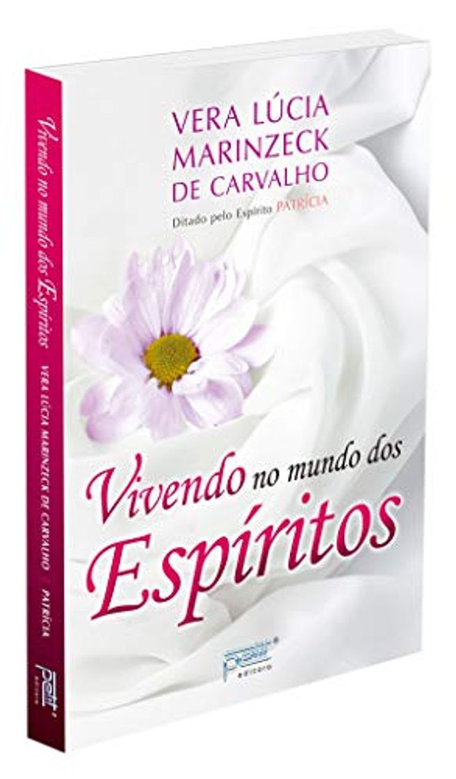 Book Vivendo no Mundo dos Espíritos