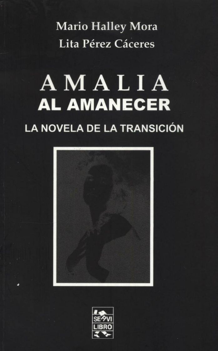 Book Amalia al amanecer. Mario Halley Mora y Lita Pérez Cáceres 