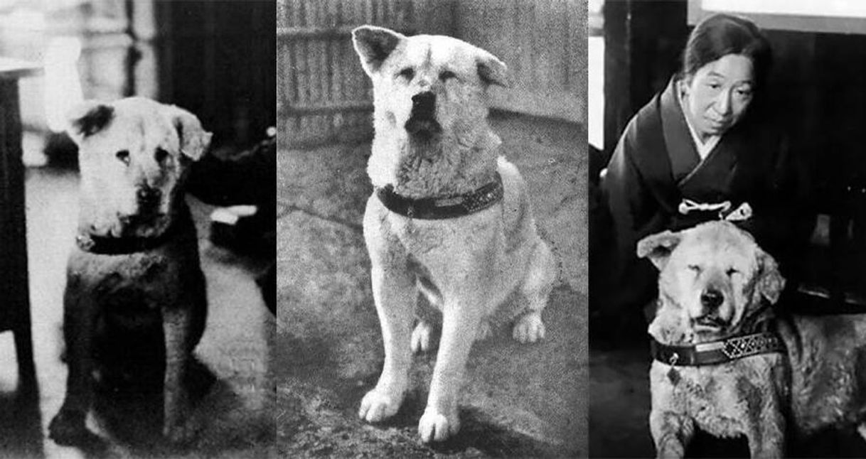 Movie Hachiko