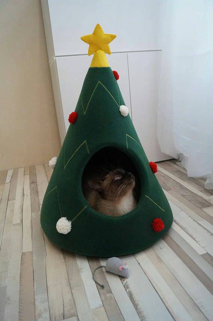 Moda Casinha de Natal para gato 😻 