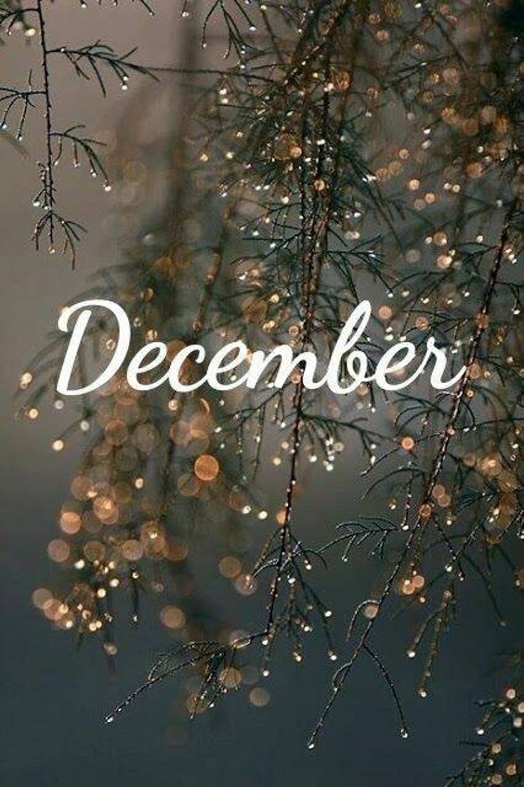 Wallpaper de Natal 🎄 