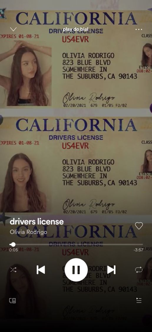 Moda Drivers license 