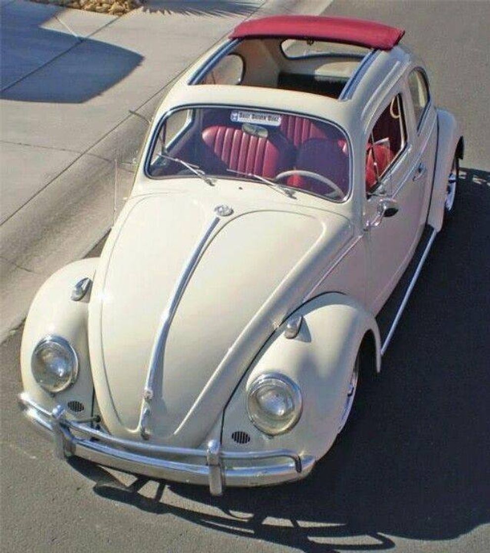 Fashion Fusca