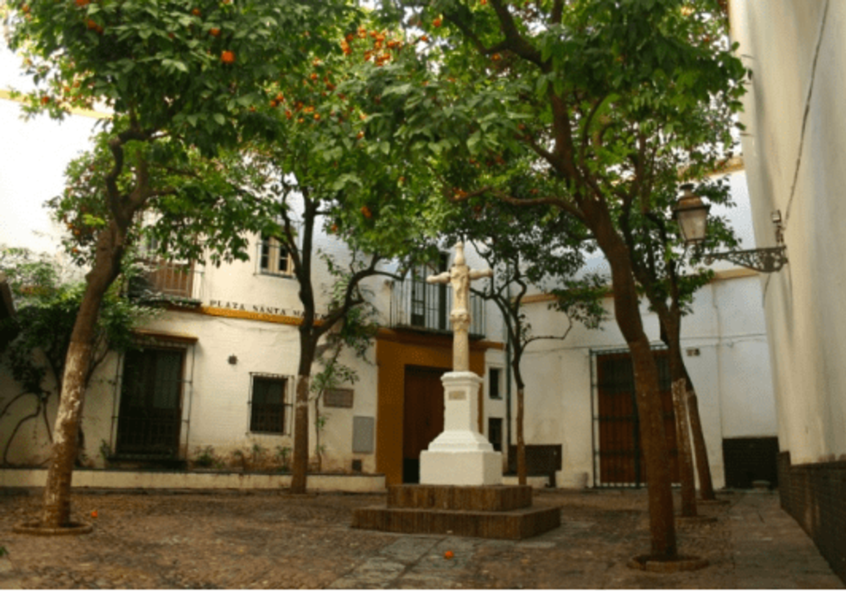 Place Plaza de Santa Marta