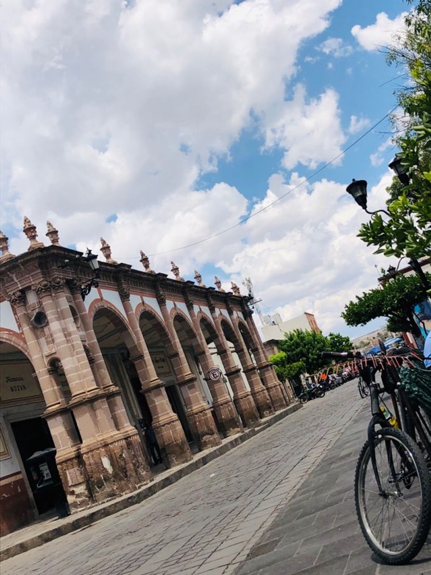 Lugar Jerez de García Salinas