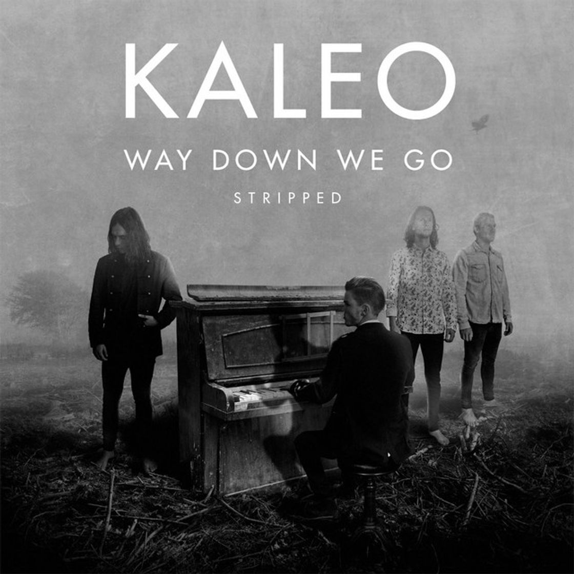Music Way Down We Go - Stripped