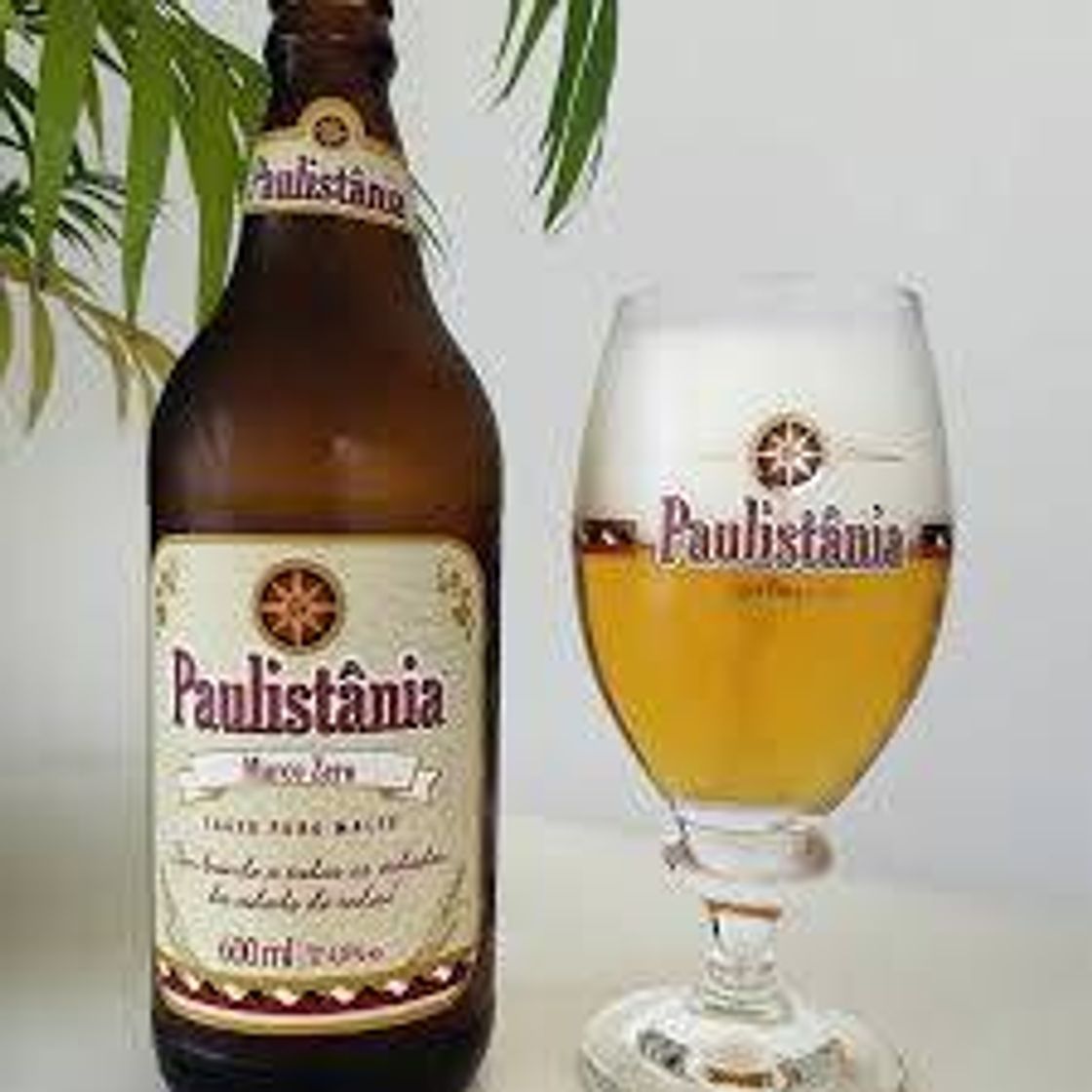 Social Cervejas puro malte 