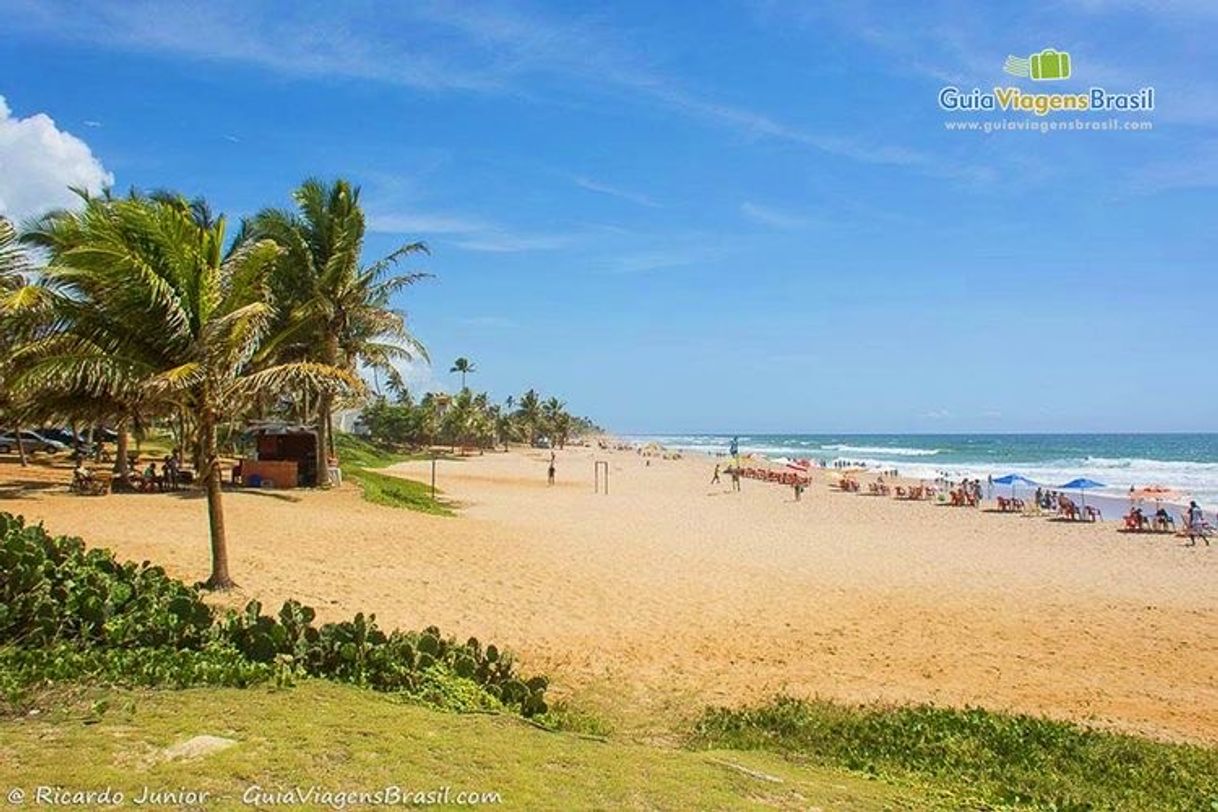 Restaurantes Praia Stella Maris