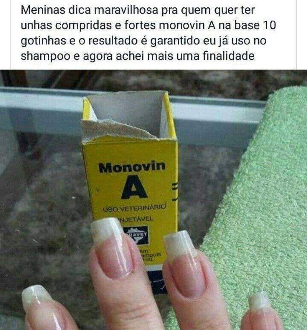 Moda Utilidade pública