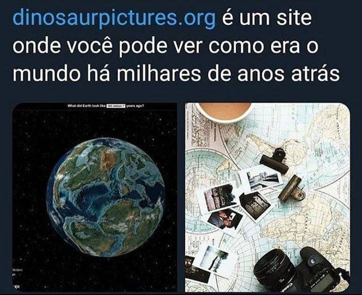 Moda Utilidade pública