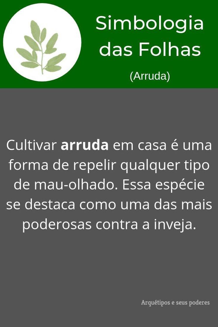 Fashion Simbologia das folhas (arruda)