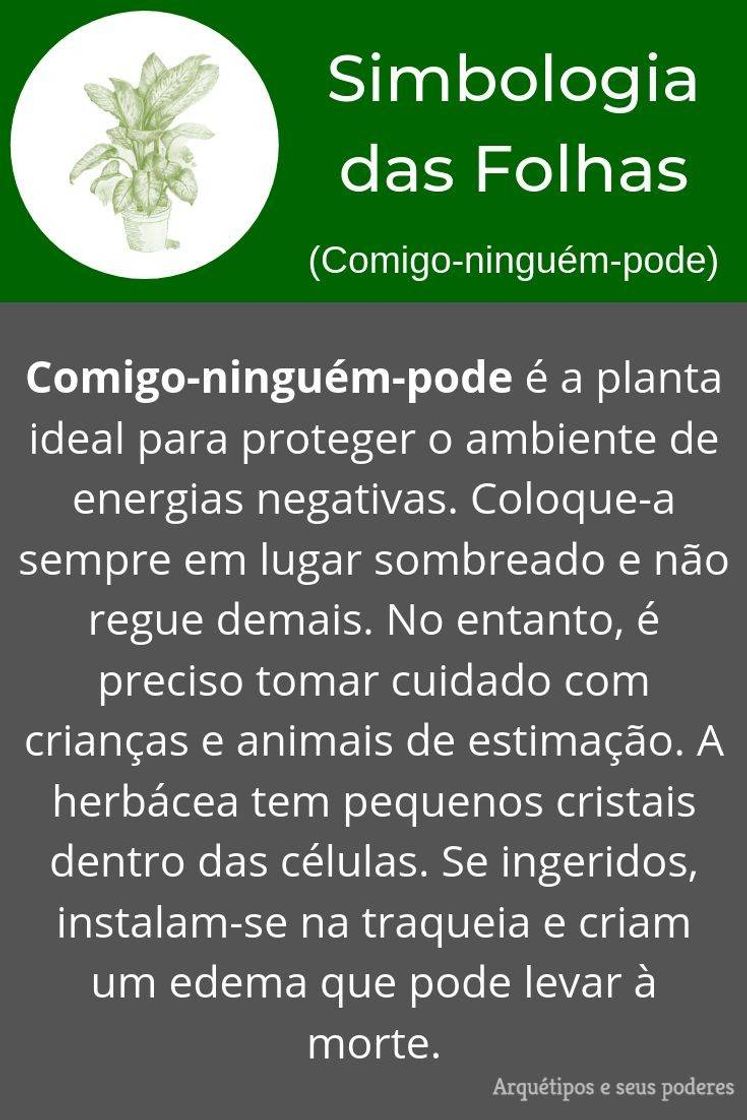 Fashion Simbologia das folhas (comigo-ninguem-pode)