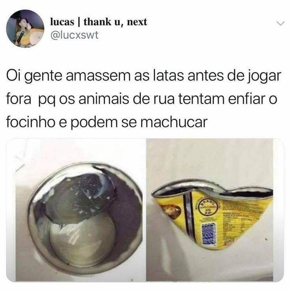 Moda Utilidade pública