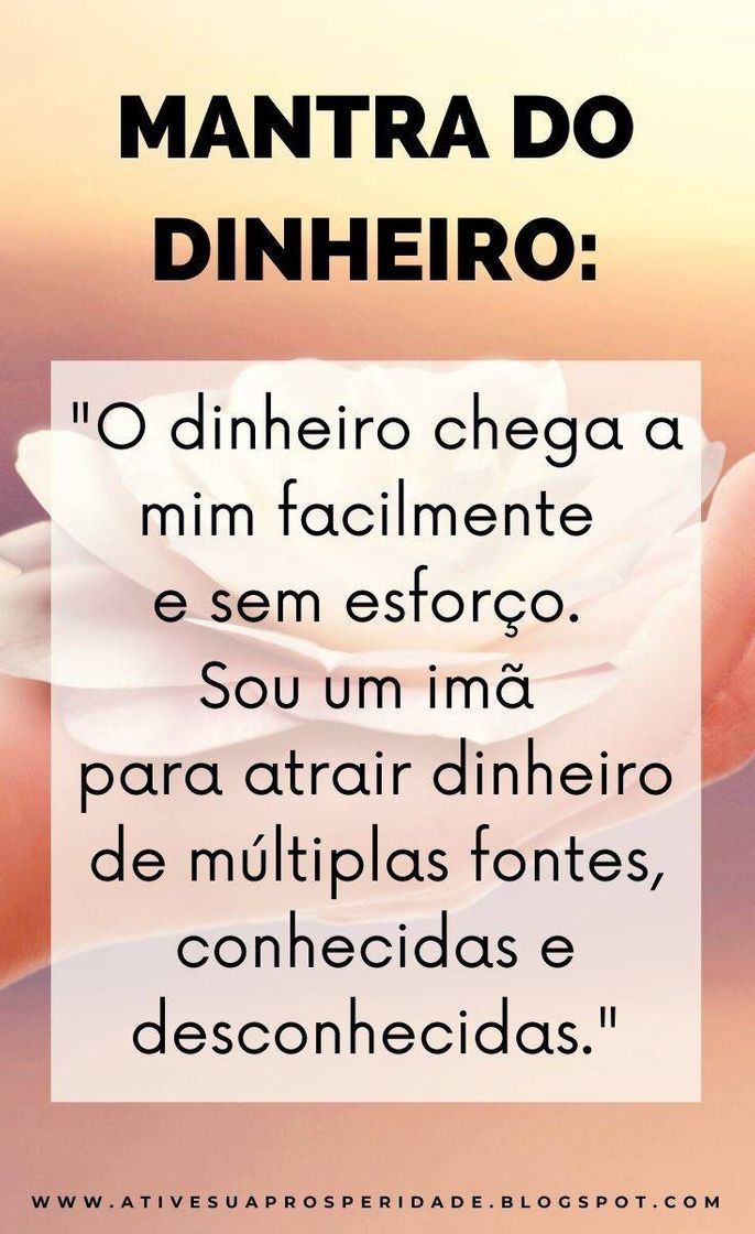 Social Lei da atração