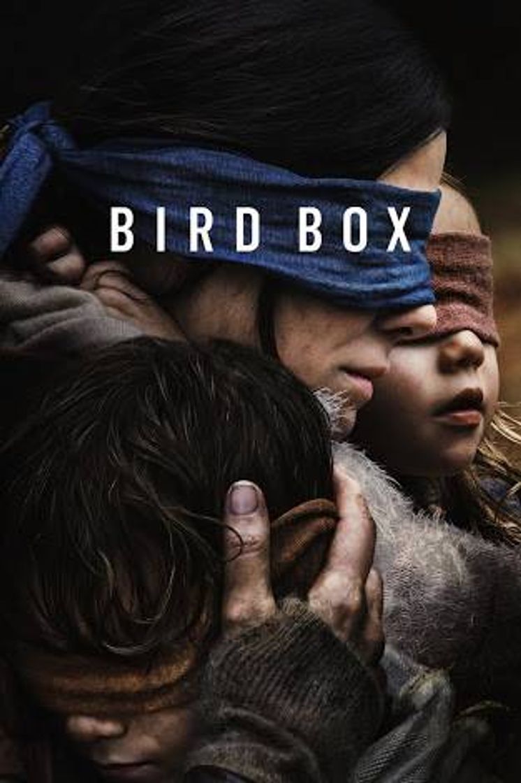 Fashion BIRD BOX