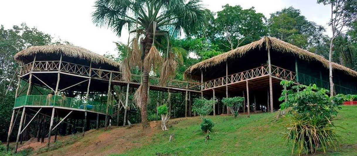 Restaurantes Amazon Tupana Lodge