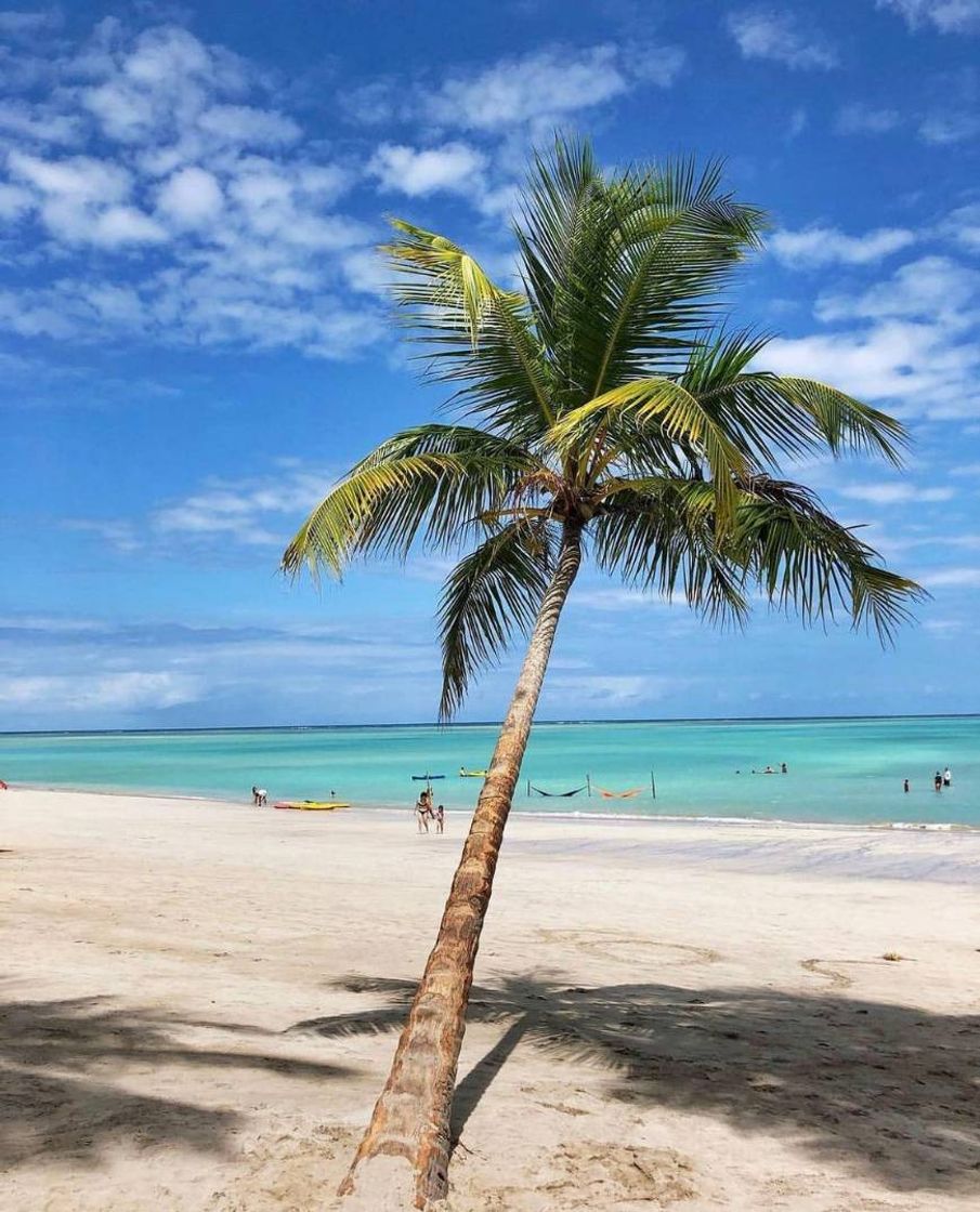 Places Praia em Maragogi - AL 🇧🇷