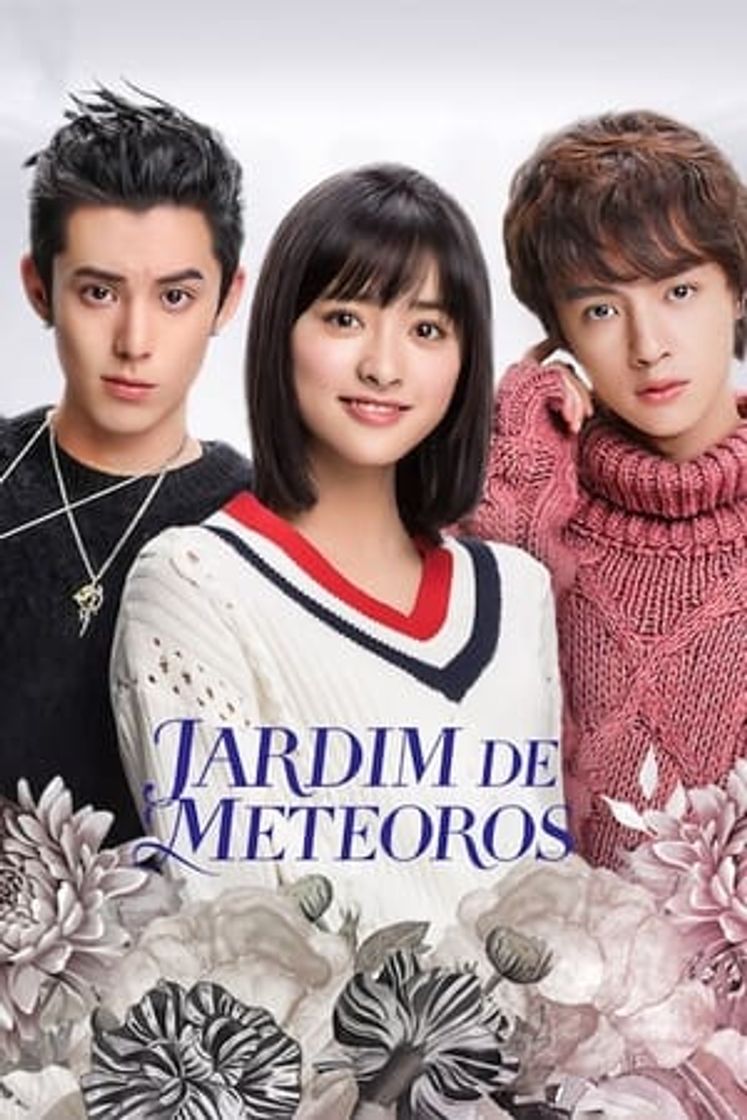 Serie Jardín de meteoros (Meteor Garden)