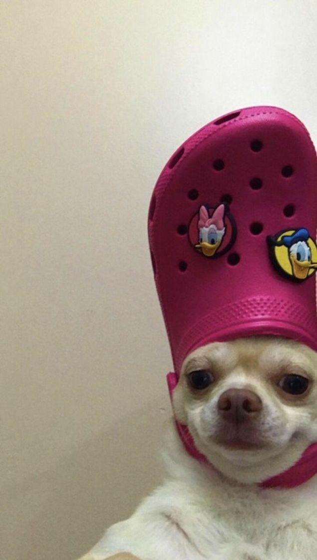 Moda estilo de crocs