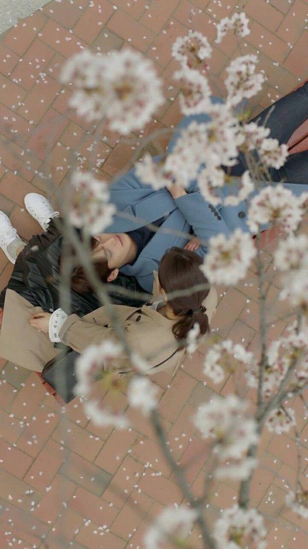 Moda Uncontrollably fond ✨