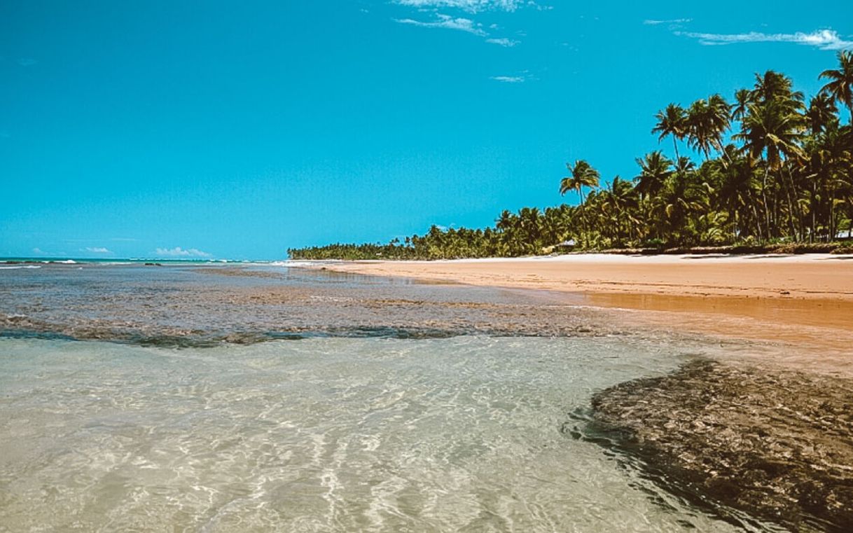 Lugar Taipús de fora