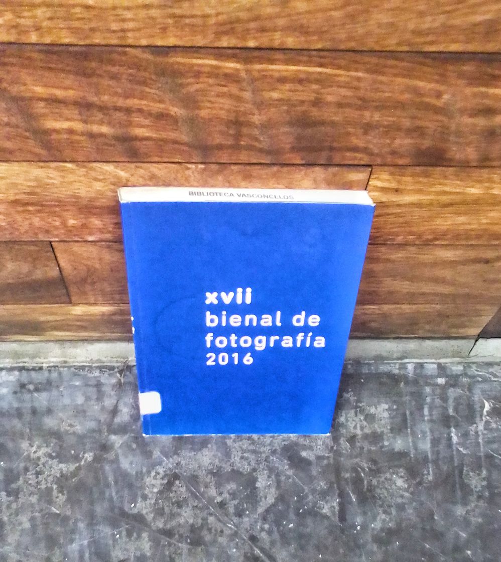 Moda Bienal de fotografía 2016