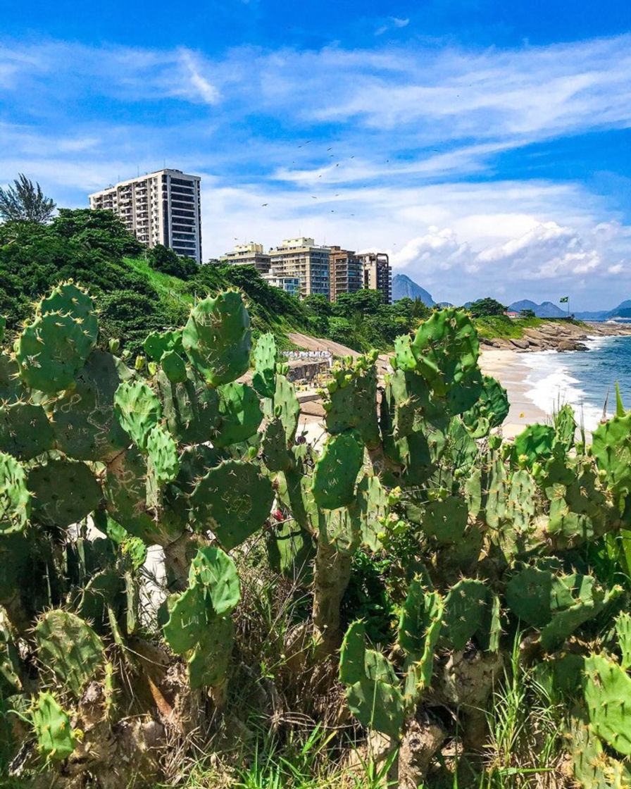 Lugar Ipanema