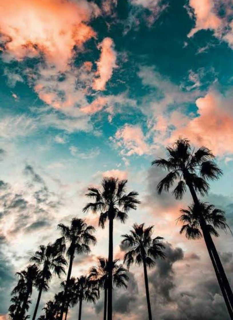 Moda Wallpaper Tumblr 🌴