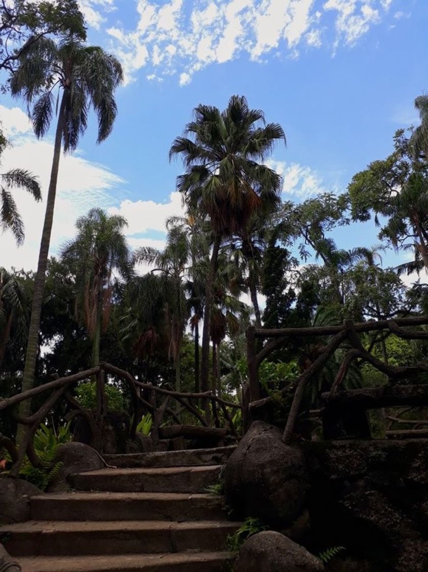 Restaurantes Jardim da Luz