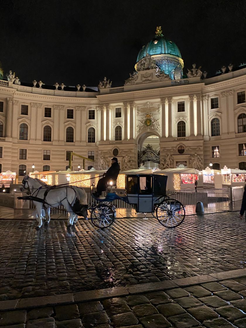 Place Hofburg Palace